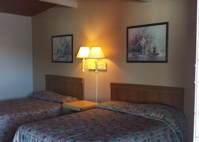 Hotel Mccoy - Art, Coffee, Beer, Wine, Pool