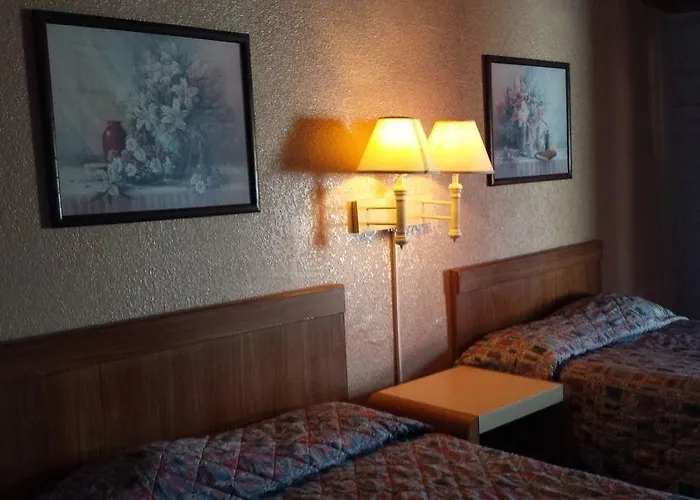 Mccoy - Art, Coffee, Beer, Wine, Pool 3*
