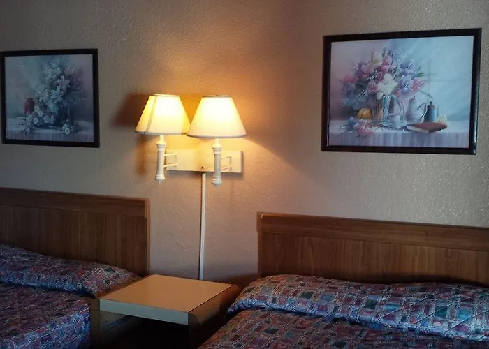 Mccoy - Art, Coffee, Beer, Wine, Pool 3*