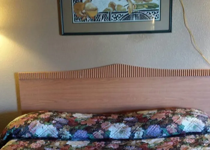 Mccoy - Art, Coffee, Beer, Wine, Pool Hotel Tucson